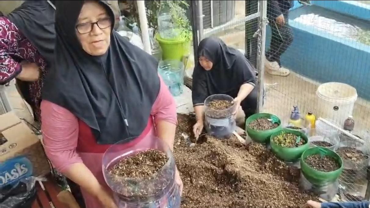 Persiapan Penanaman Bibit Media Galon Bekas
