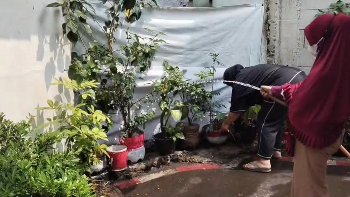 Penyiraman Tanaman Hias Gang Alabror