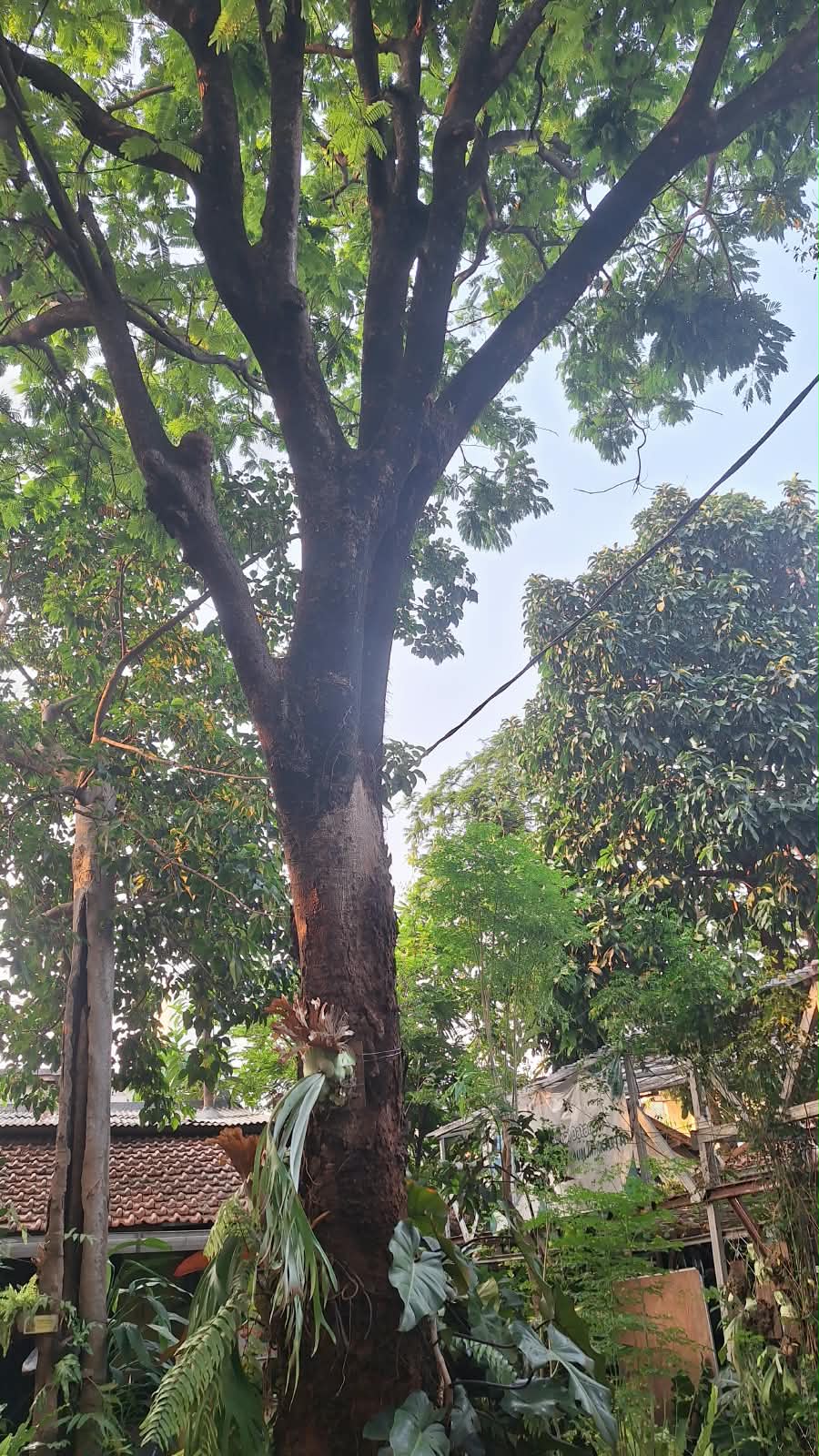 Silaturahmi & Diskusi Kegiatan